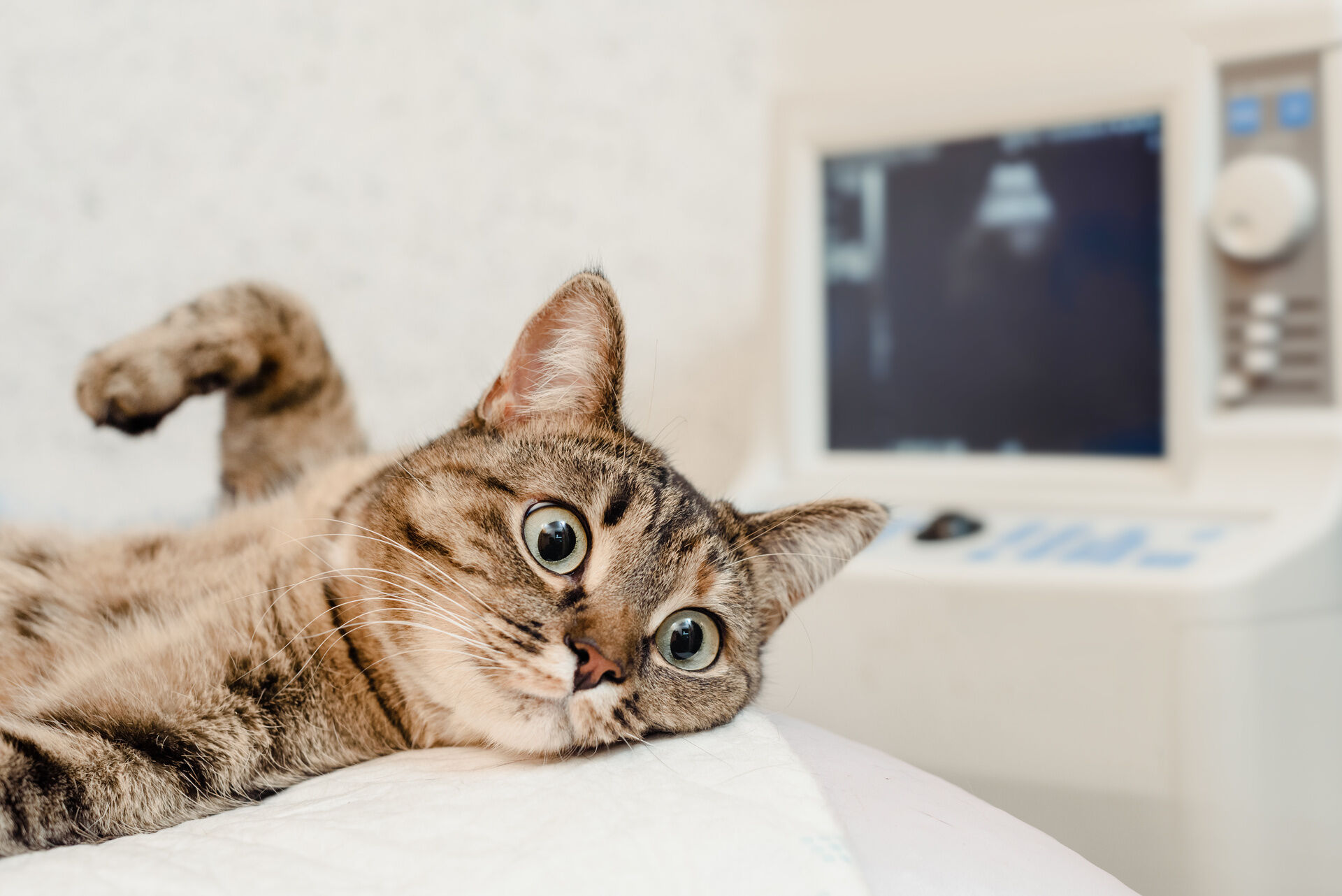 AdobeStock_265379578