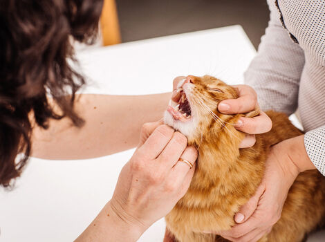 AdobeStock_145319905