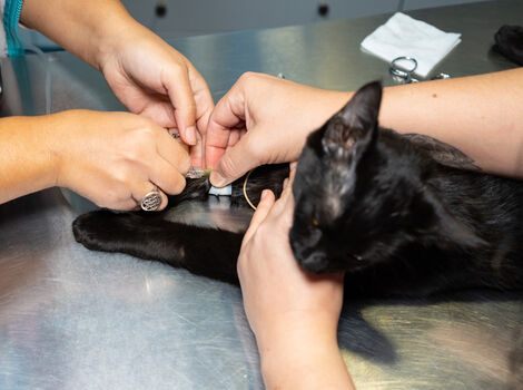 AdobeStock_304857849