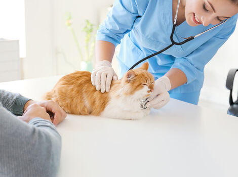 AdobeStock_307973315