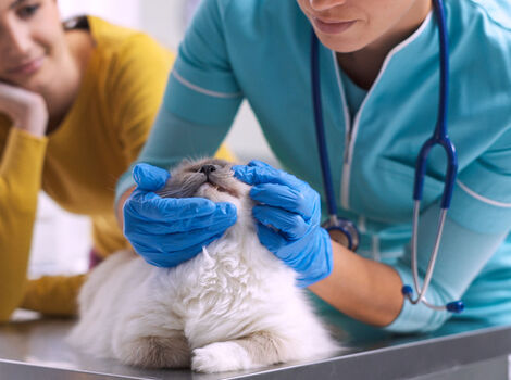 AdobeStock_305488083