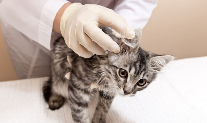 AdobeStock_303396977