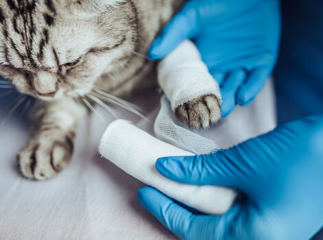 AdobeStock_181907364