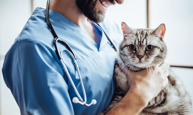 AdobeStock_181906776