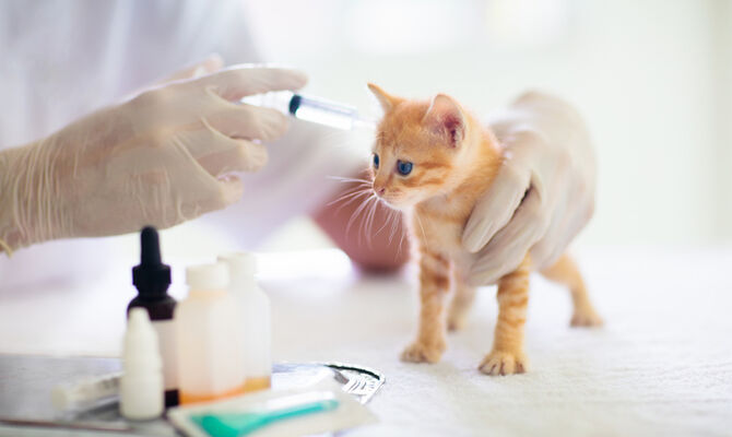 AdobeStock_282305624