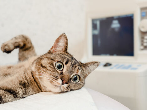 AdobeStock_265379578