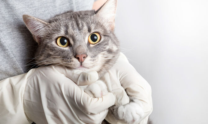 AdobeStock_138975053