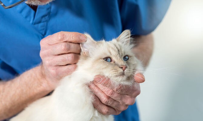 AdobeStock_241473346